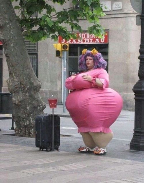 O atributo alt desta imagem está vazio. O nome do arquivo é lulu-canavial.jpg