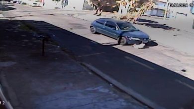 Câmera de segurança registra momento em que cachorro é atingido por veículo em rua de Franca