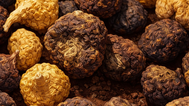 maca peruana raizes in natura